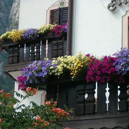 Hotel Stella Alpina Fai Della Paganella Esterno foto