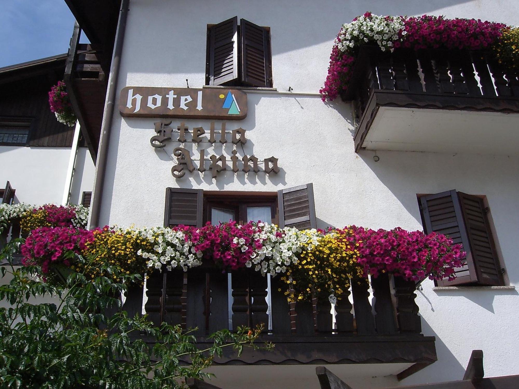 Hotel Stella Alpina Fai Della Paganella Esterno foto